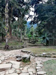 view of the trek in colombia
