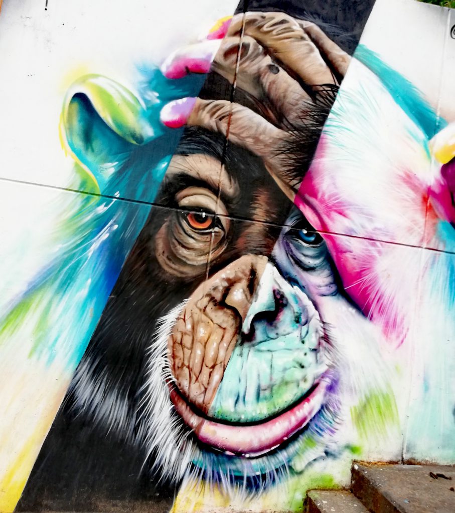 Street art in Comuna 13, Medellin, Columbia