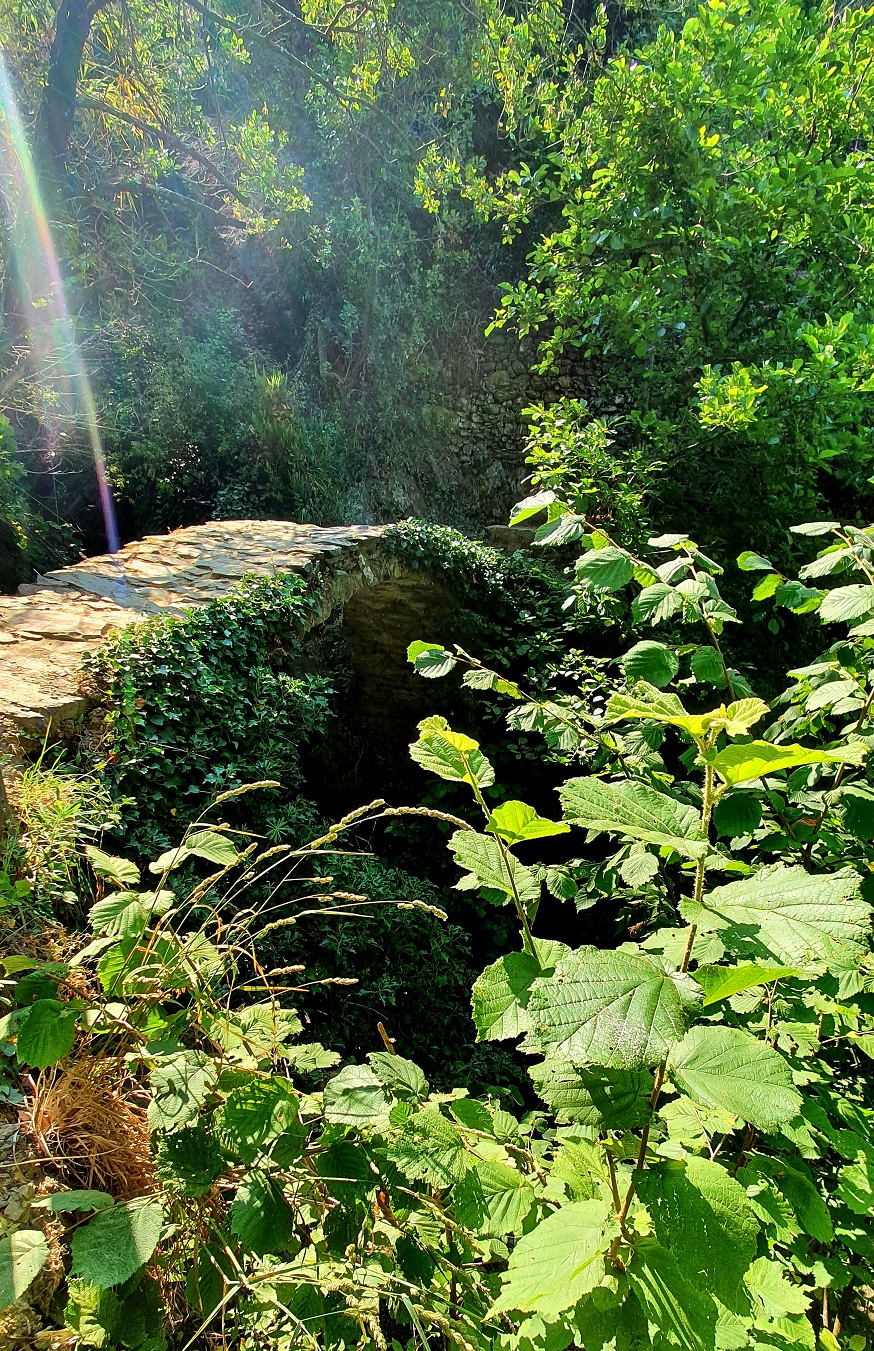 forest stone bridge