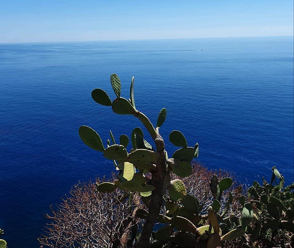 a view out to sea from corniglia