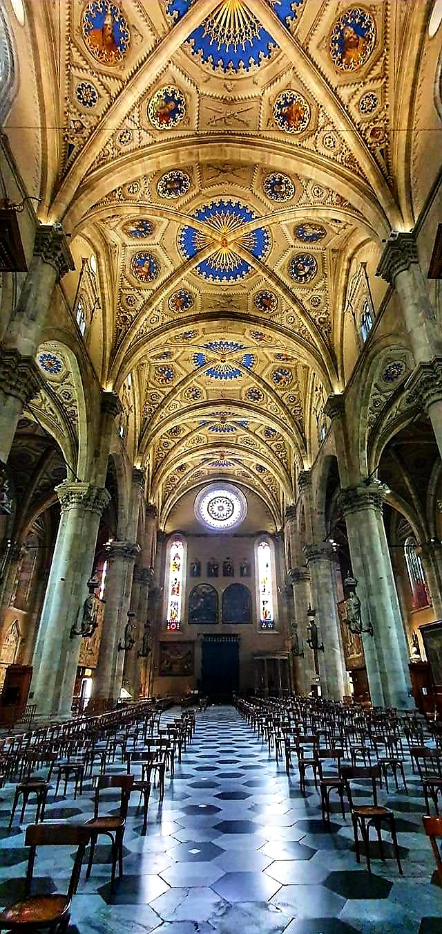 como cathedral chairs