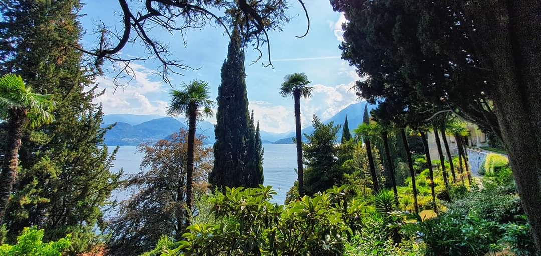 gardens - landscape view