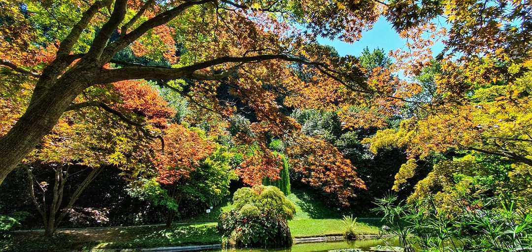 gardens the villa melzi