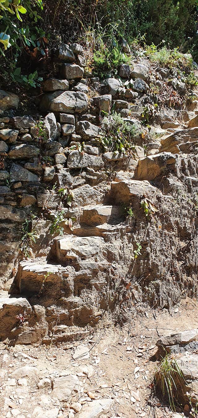 steps on the high trail from corniglia