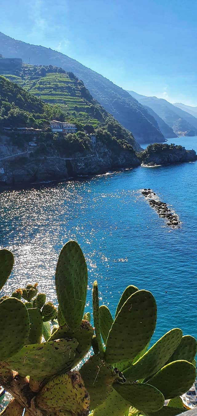 sun shimmering on the sea