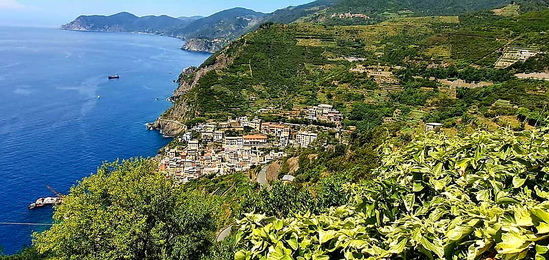view from the trail