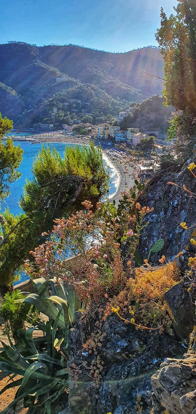 view of monterosso from above