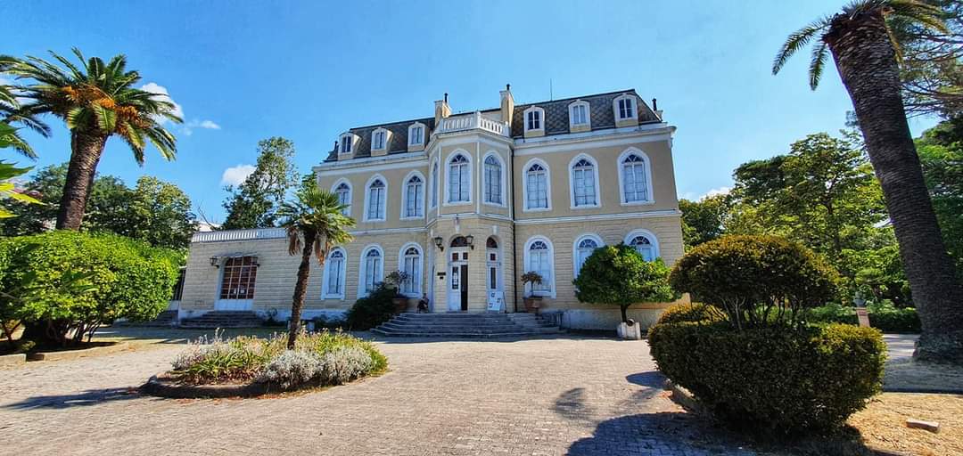 king nikolas palace bar