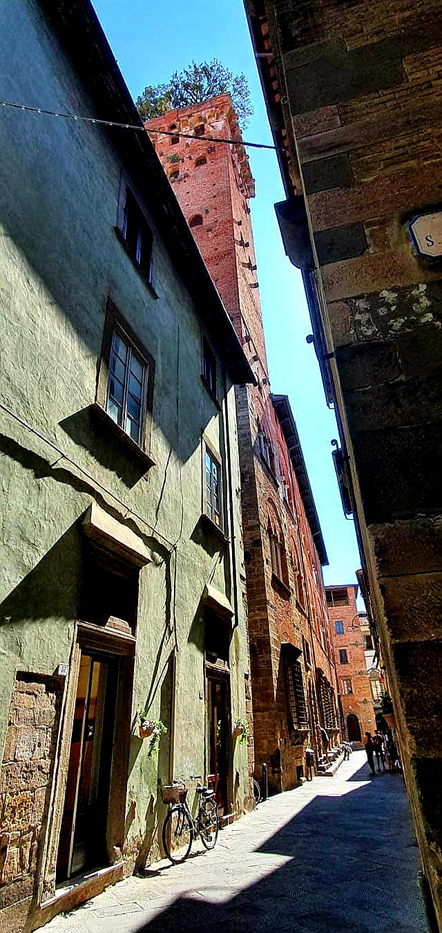 panoramic view