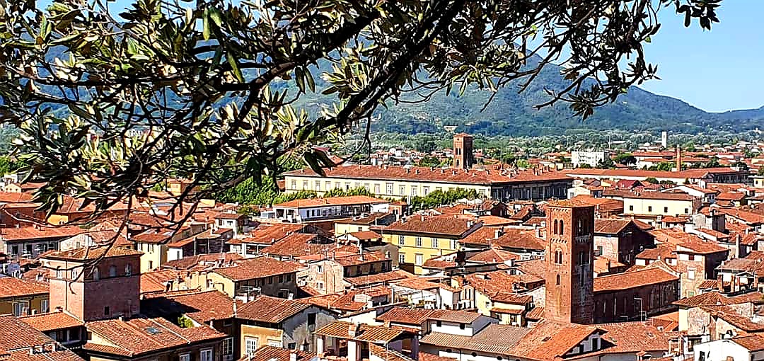 view from guinigi tower - Lucca