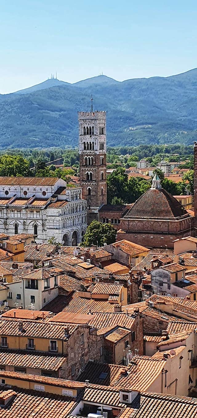 view from guinigi tower - portrait