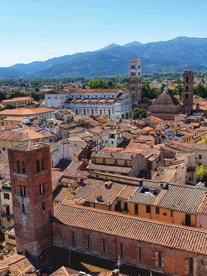 view from guinigi tower