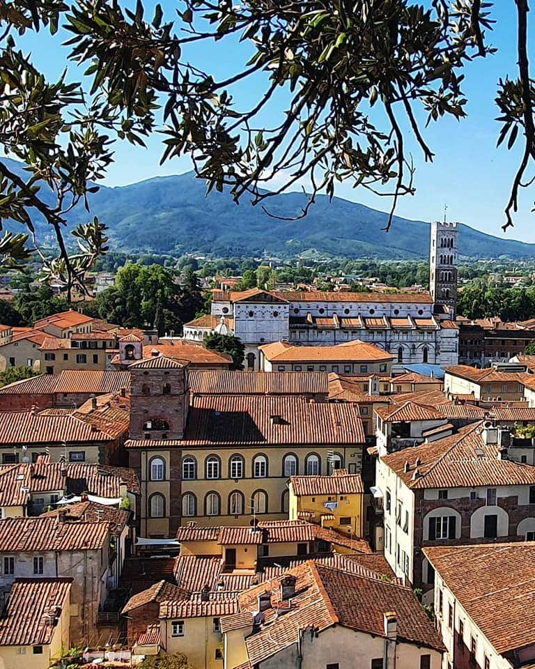 view from guinigi towers - branch