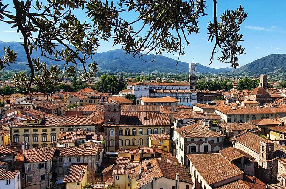 view from guinigi towers