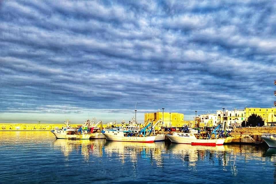 reflections monopoli harbour